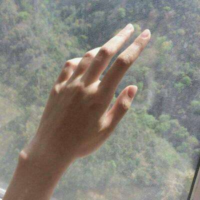 乐鱼官网app下载截图