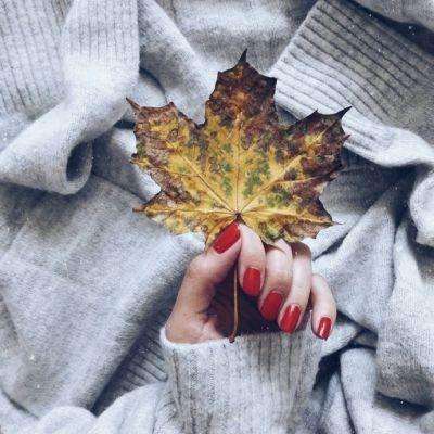 麻将胡了2游戏入口