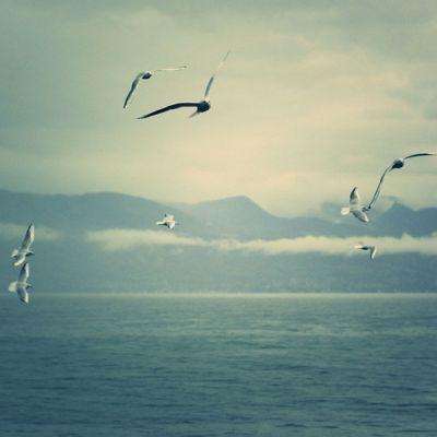 皇冠体官方网站app