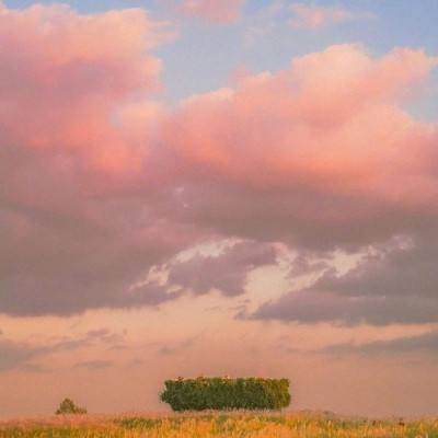 大发彩票手机app下载