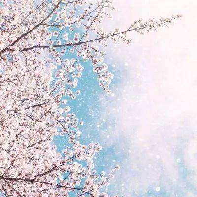 半岛·综合体育下载