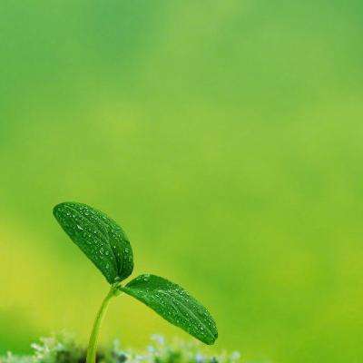 亿博手机端app下载安装