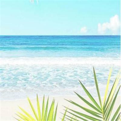 新澳门六开彩资料大全app下载