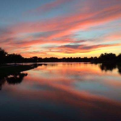 BB贝博平台登录appapp下载