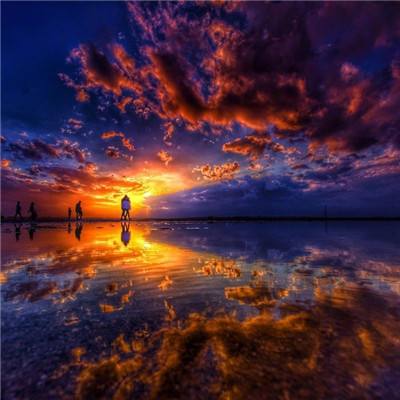 1788网投手机app下载