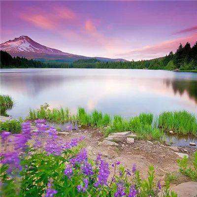 万博全站官网app最新版下载